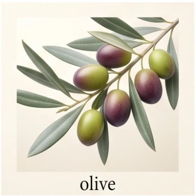olive