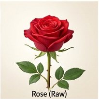 Rose (Raw)