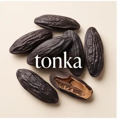 tonka